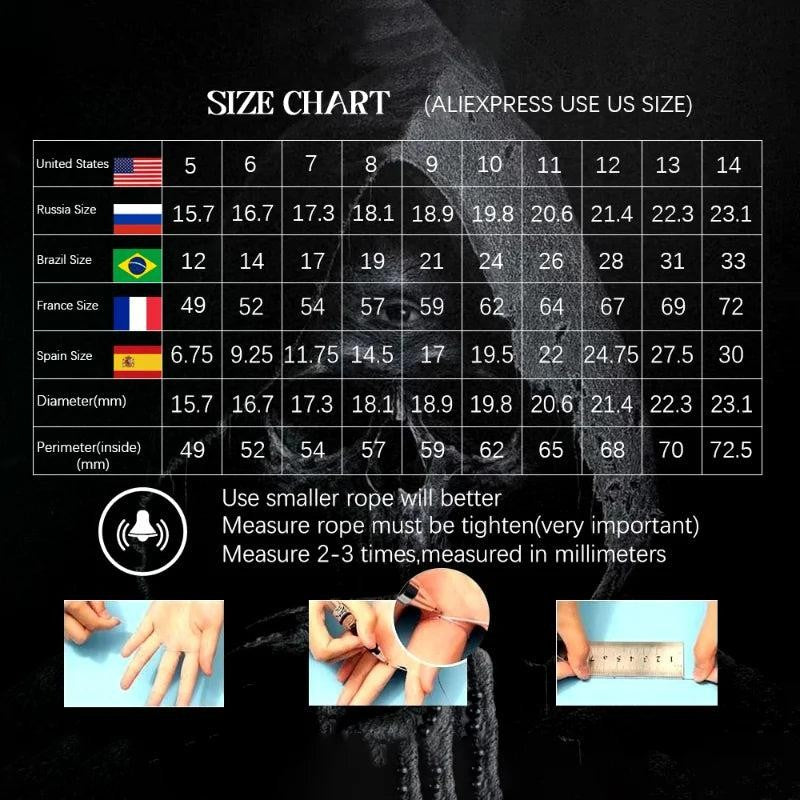 316L Stainless Steel Dragon Scale Ring | Viking Punk Hip Hop Ring for Men Women