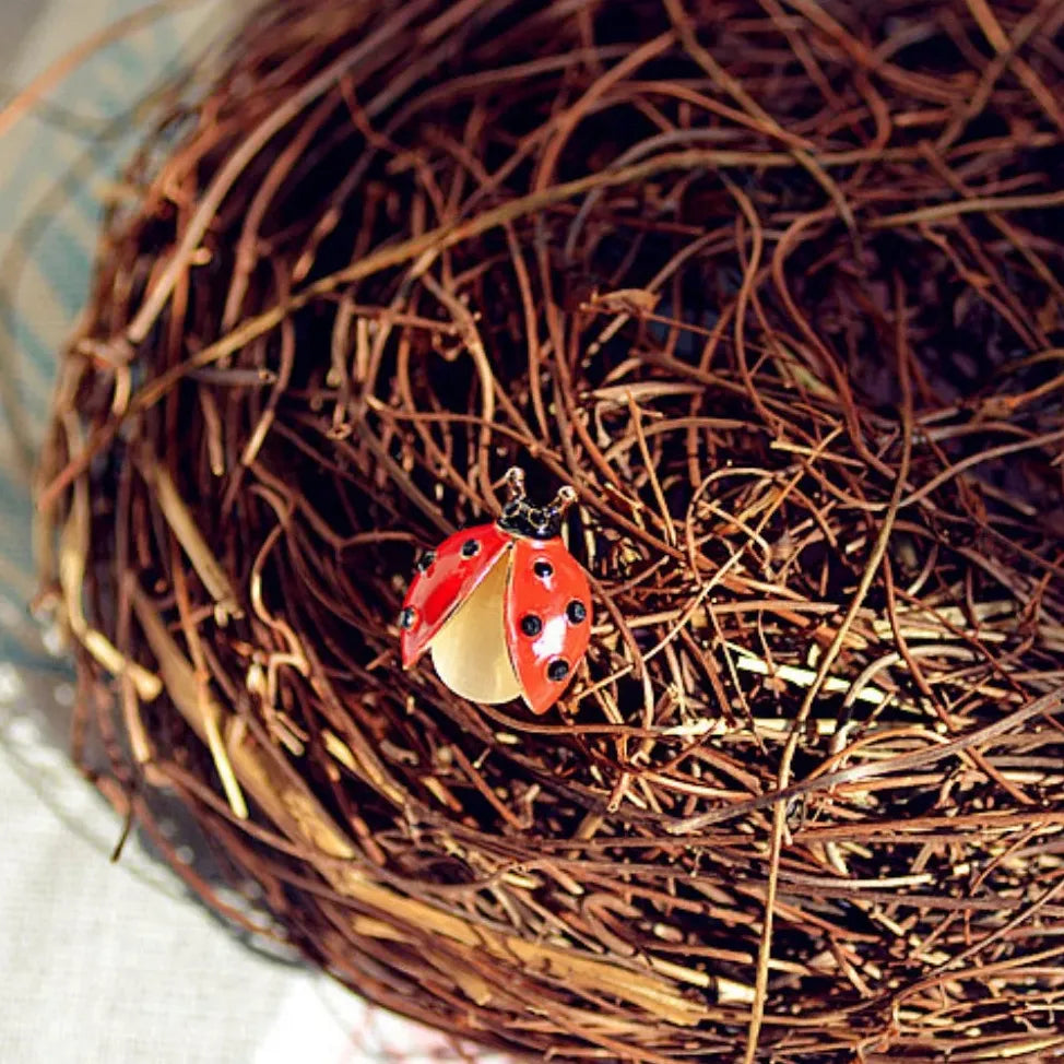 Classic Ladybug Beetle Brooch Insect Jewelry for Women and Men