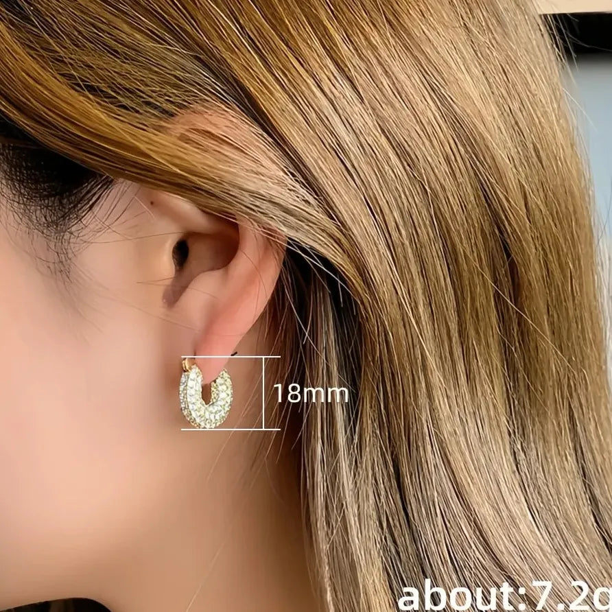 Luxury Small & Large Hoop Earrings for Women Copper Alloy CZ Silver Gold