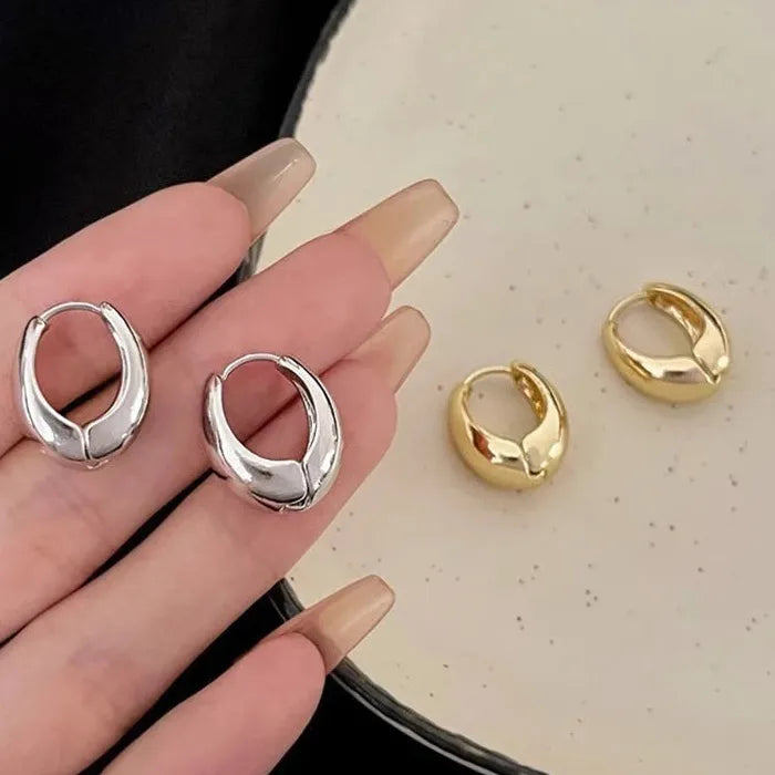 Geometric Zinc Alloy Hoop Earrings Round Circle Punk Jewelry for Women