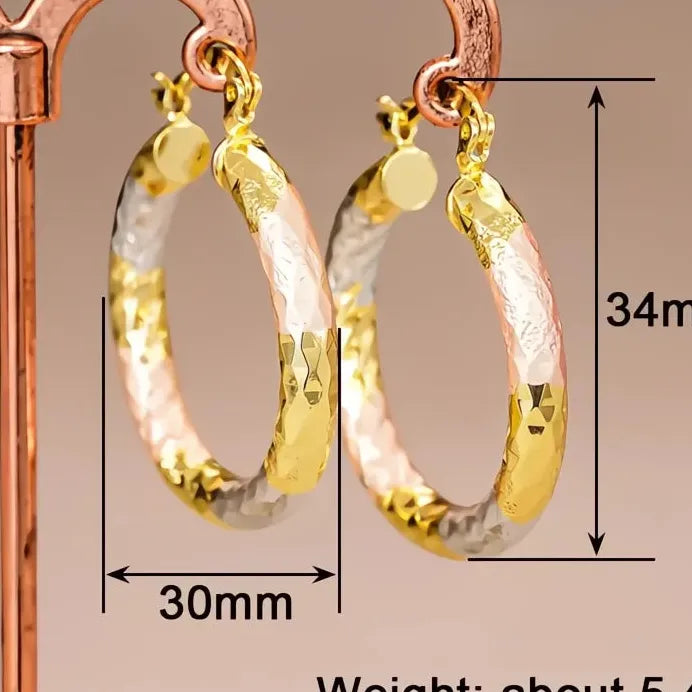Trendy Elegant Women’s Geometric Copper Alloy Hoop Earrings