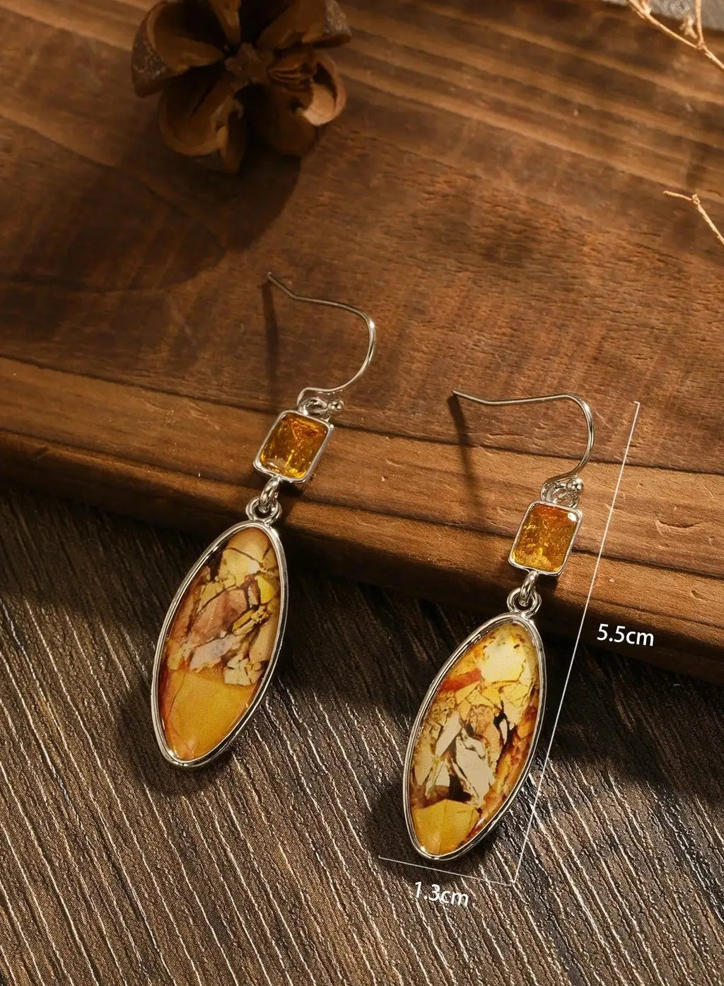 Bohemian Style Women's Resin Drop Earrings Ethnic Retro Beach Party Jewelry Gift