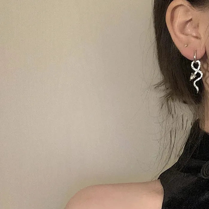 Vintage Wrapped Snake Crystal Drop Earrings for Women Animal Jewelry Gifts